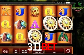 A Experiência Imersiva dos Cassinos Ao Vivo no 311bet
